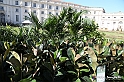 VBS_2447 - FloReal 2021 alla Palazzina di Caccia di Stupinigi